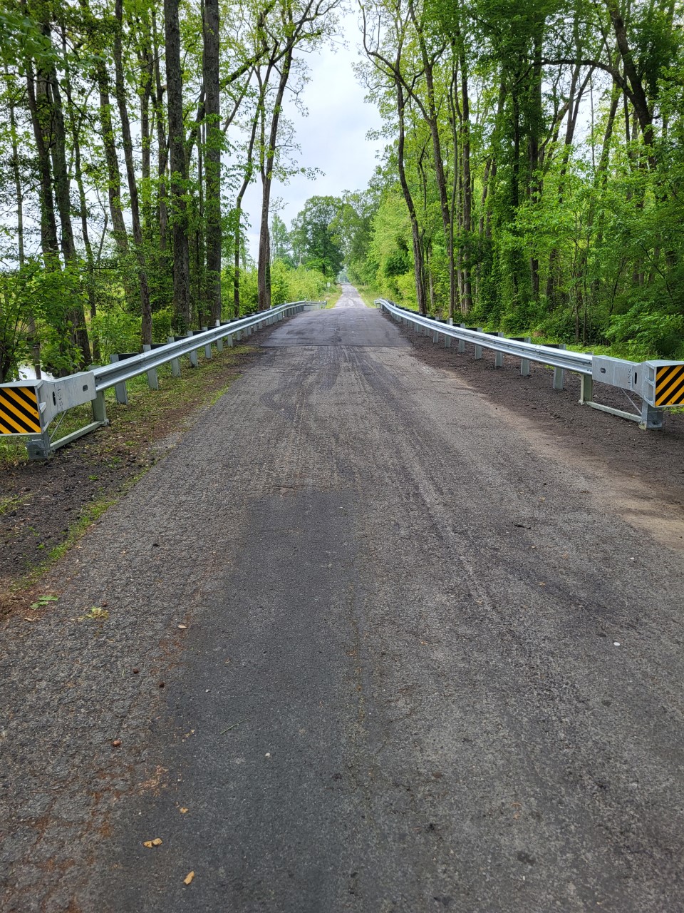 new bridge photo